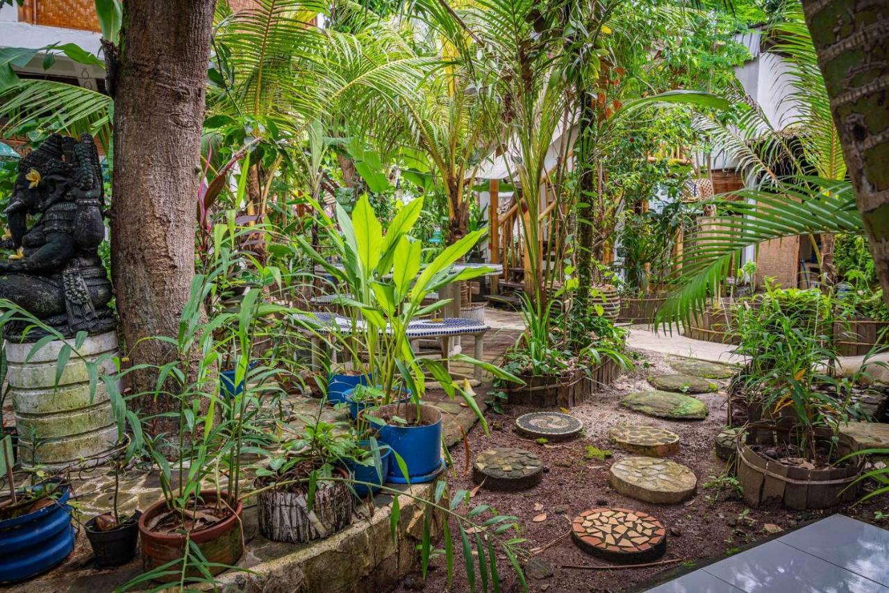 Serenity Eco - Chse Certified