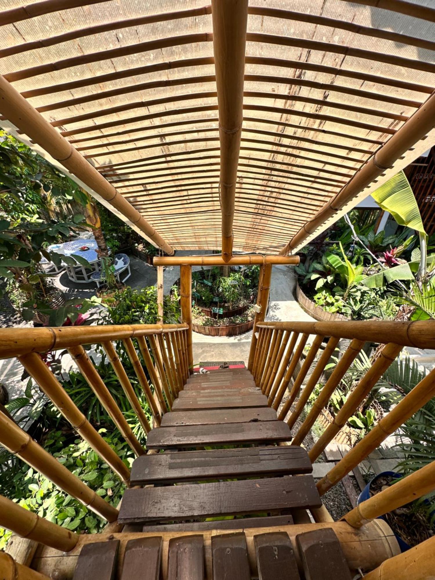 Serenity Eco - Chse Certified Guest house Canggu (Bali)