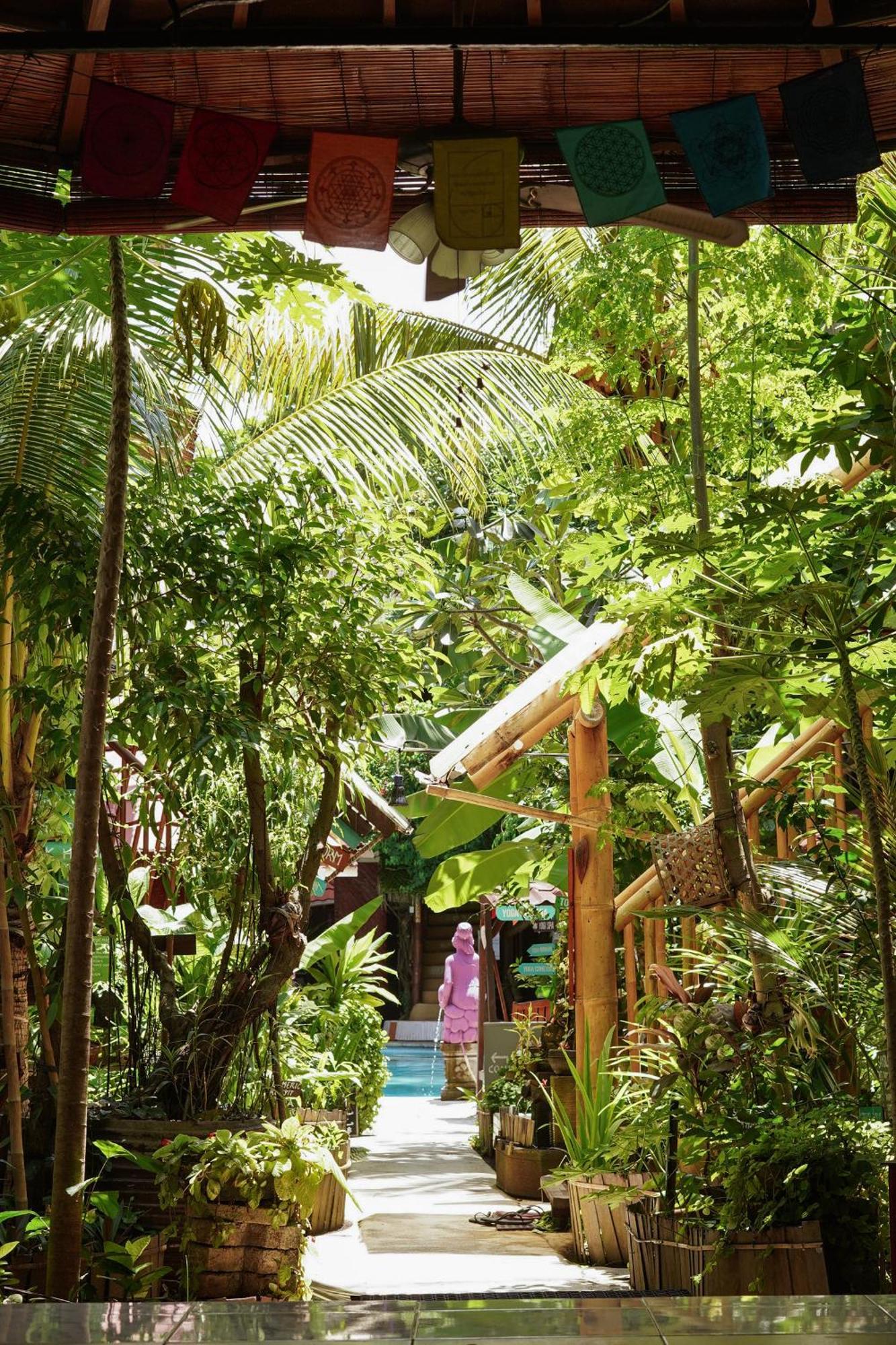 Serenity Eco - Chse Certified